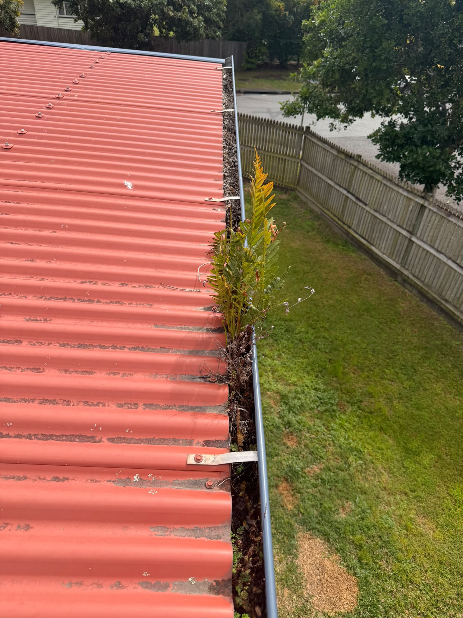 Before gutter cleaning - Full gutter clean with before and after photos