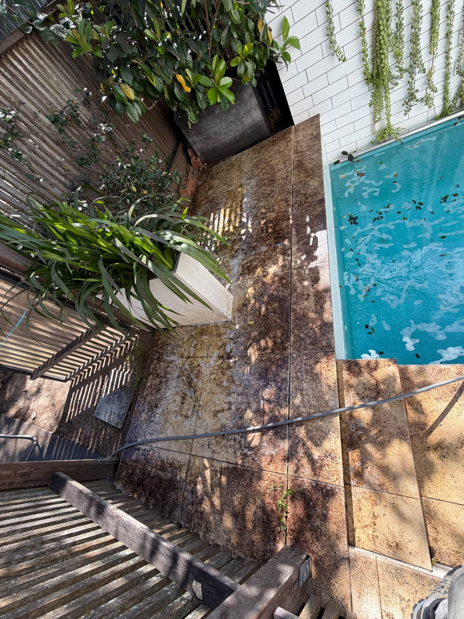 Before pressure washing - Pressure washing to lift built-up grime and weathering