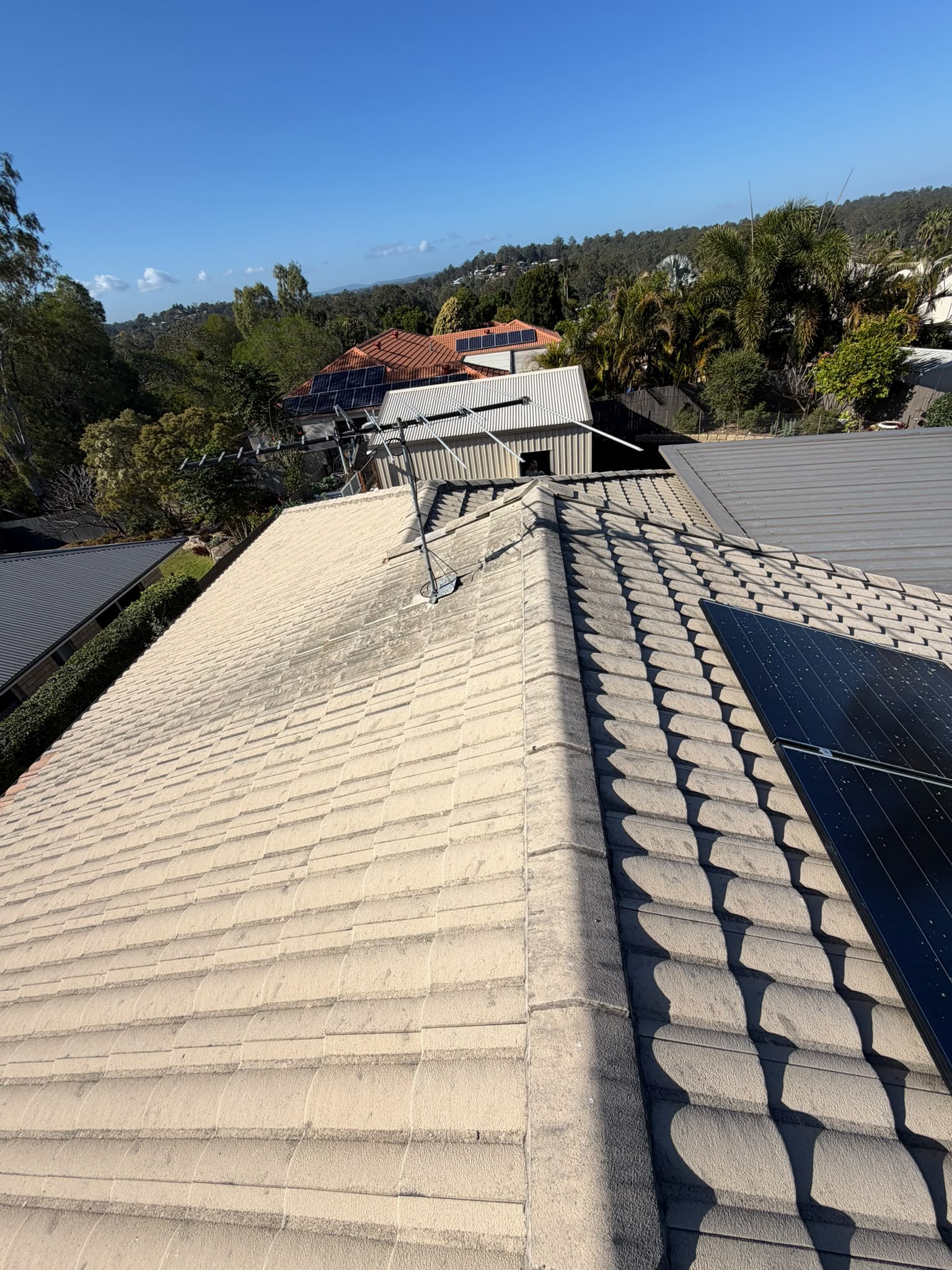 Before roof cleaning - Tile roof refreshed with a safer, more controlled wash
