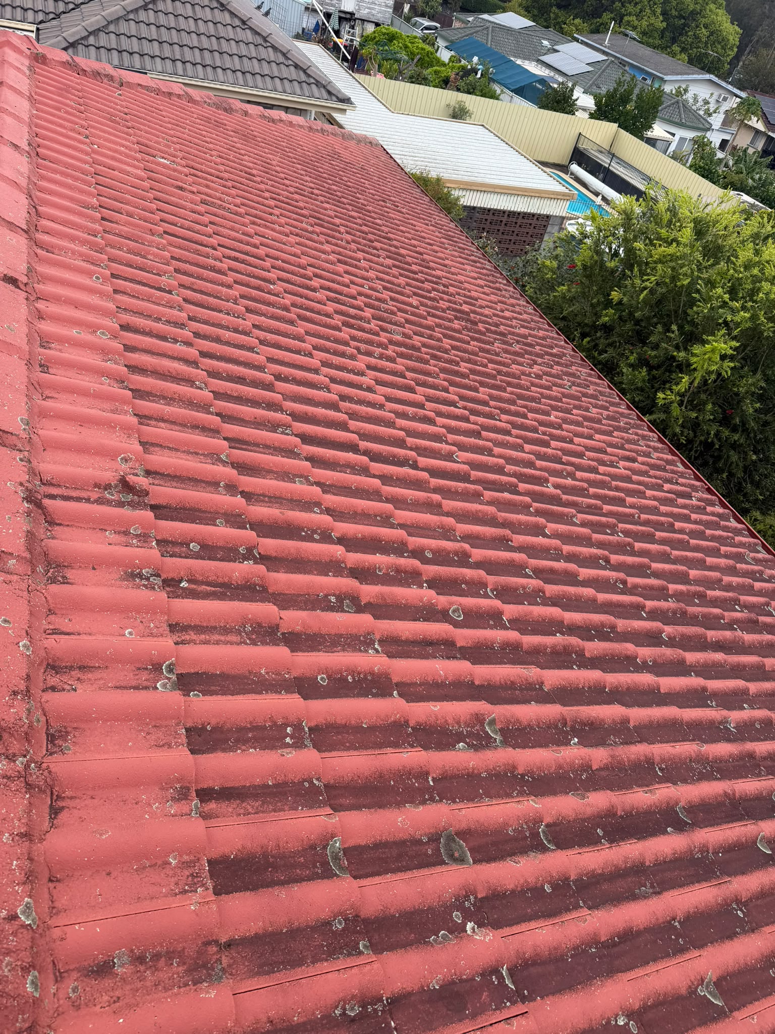 Before roof cleaning - Roof surface restored with improved appearance and clearer finish