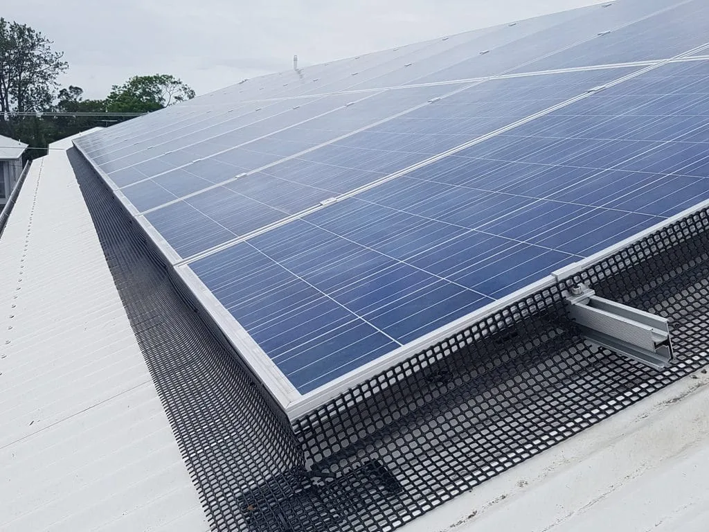 Solar Panel Bird Proofing in Brisbane
